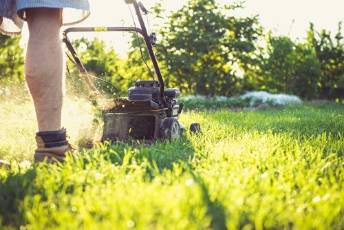 Garden tools and lawn mower